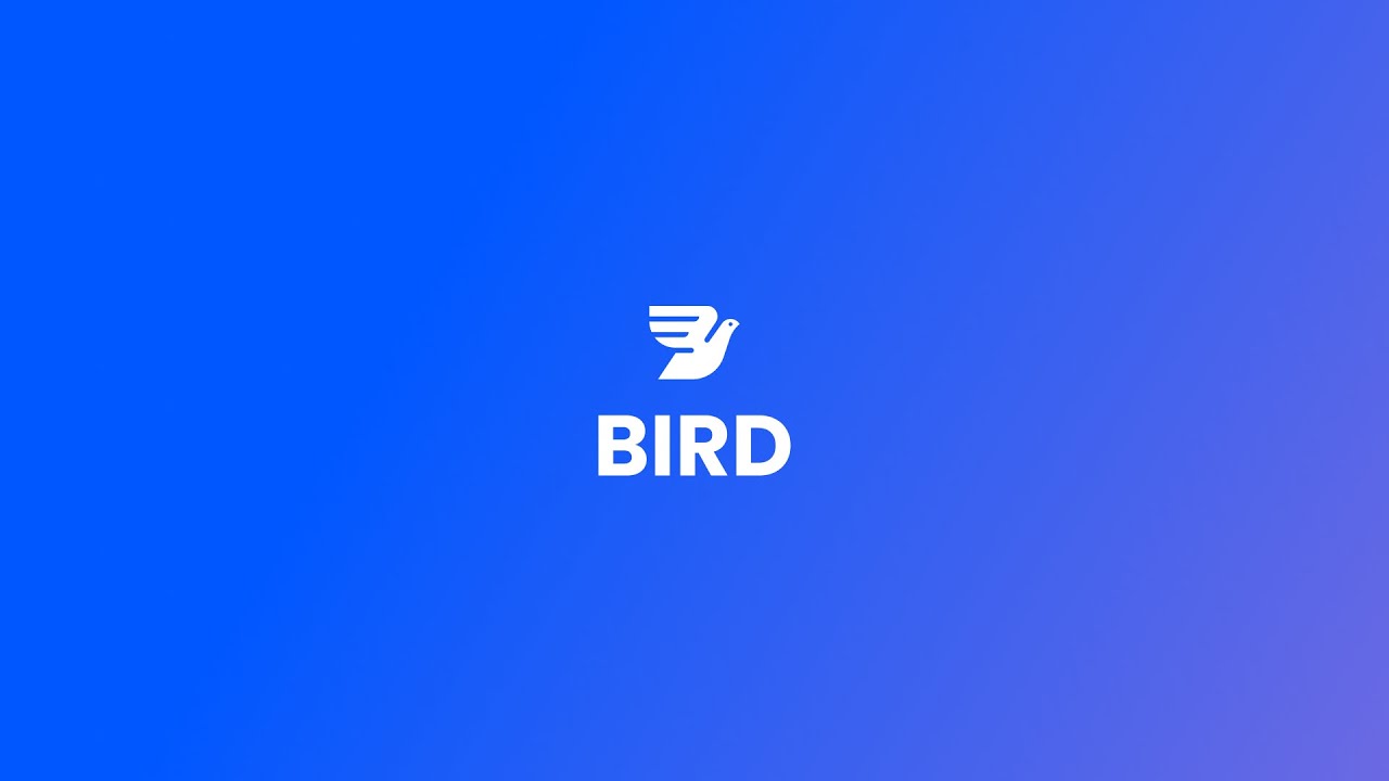 Embedded video