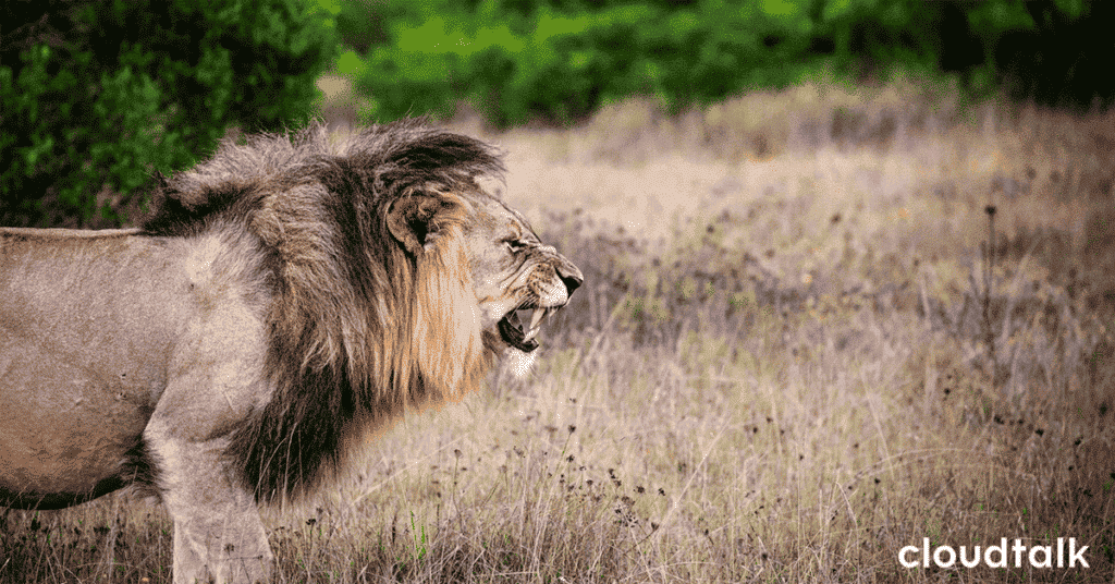 8 principles of dealing with angry customers