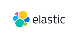 ElasticSearch לוגו